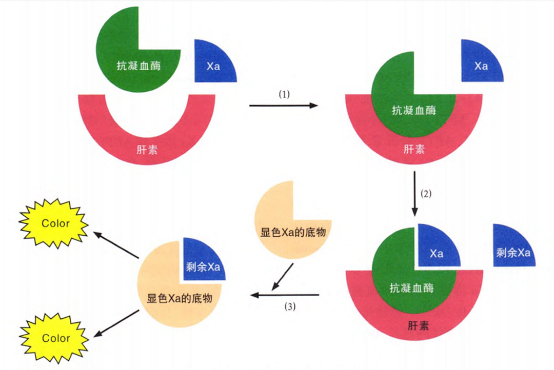 国产抗Xa质量如何？多中心临床研究来告诉你！